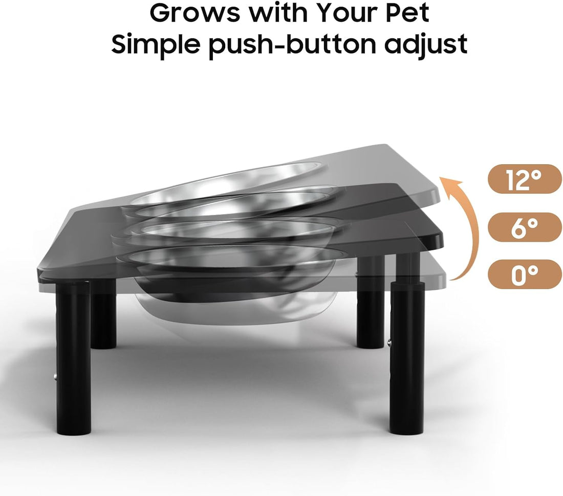 Adjustable Elevated Cat Bowls,6°/12° Tilted Cat Bowl Stand