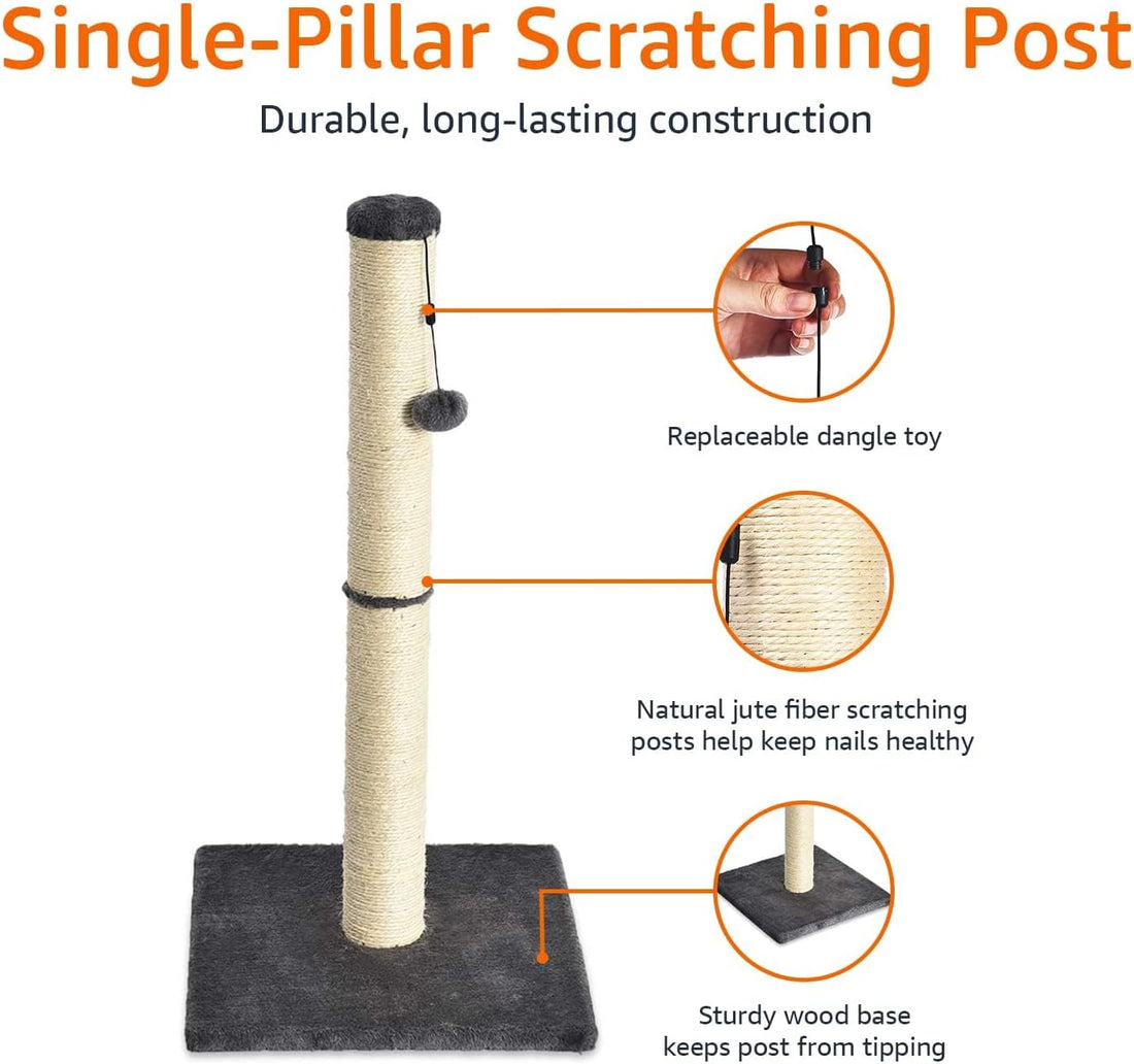 Cat Scratching Post for Indoor Cats & Kittens, Medium