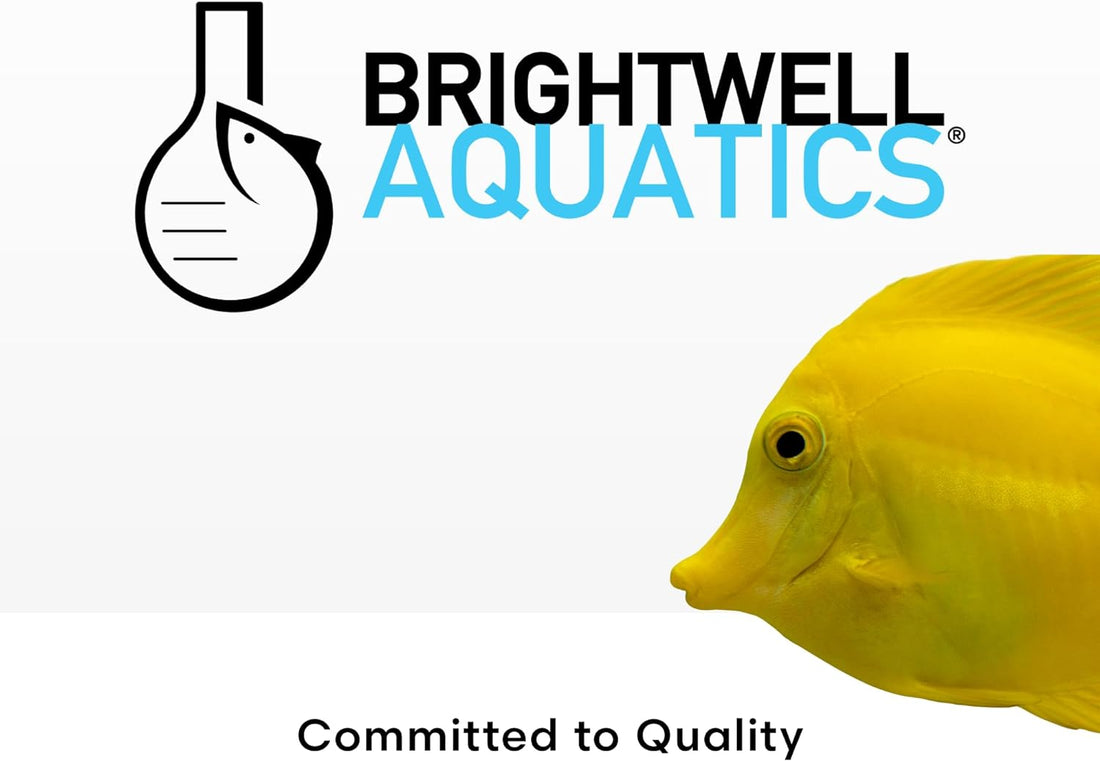 Brightwell Aquatics NēoNitro Nitrate Supplement for Reef Aquariums