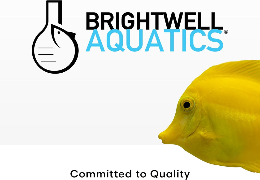 Brightwell Aquatics NēoPhos Phosphate Reef Supplement, 500ml