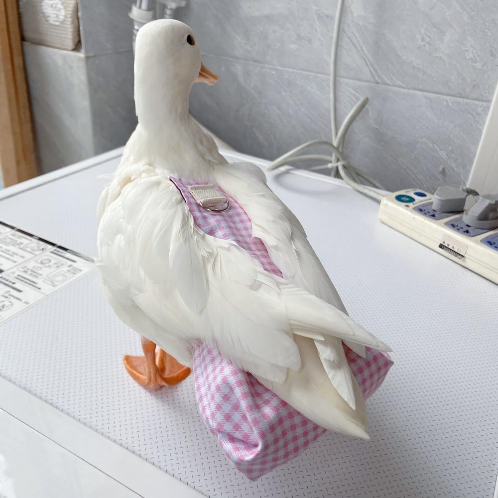 Duck Diapers, Chicken Diapers, Special Diapers for Poultry, Chicken