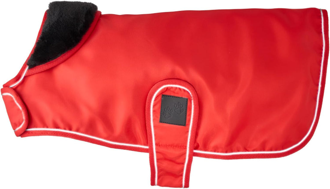 Pet Passion Breeze II Dog Raincoat, Navy, Small