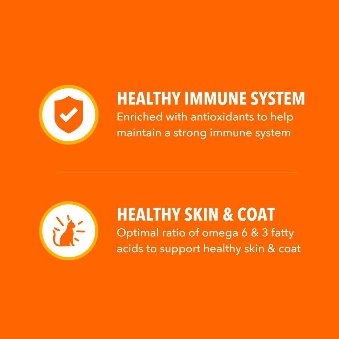 IAMS Proactive Health Dry Cat Food