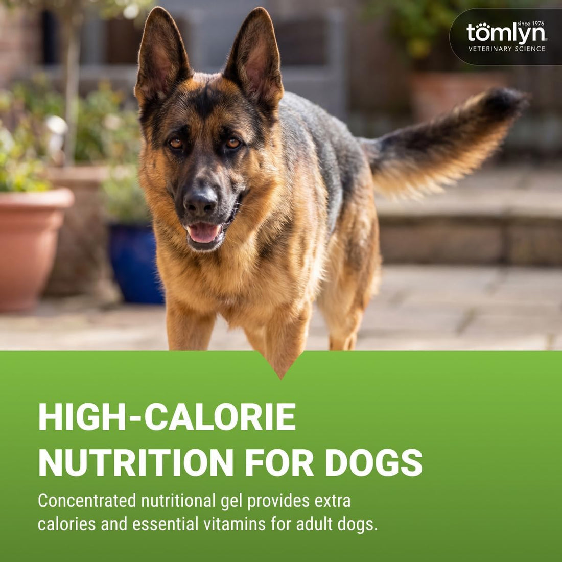 Tomlyn Nutri-Cal Malt-Flavored High-Calorie Nutritional Gel for Dogs