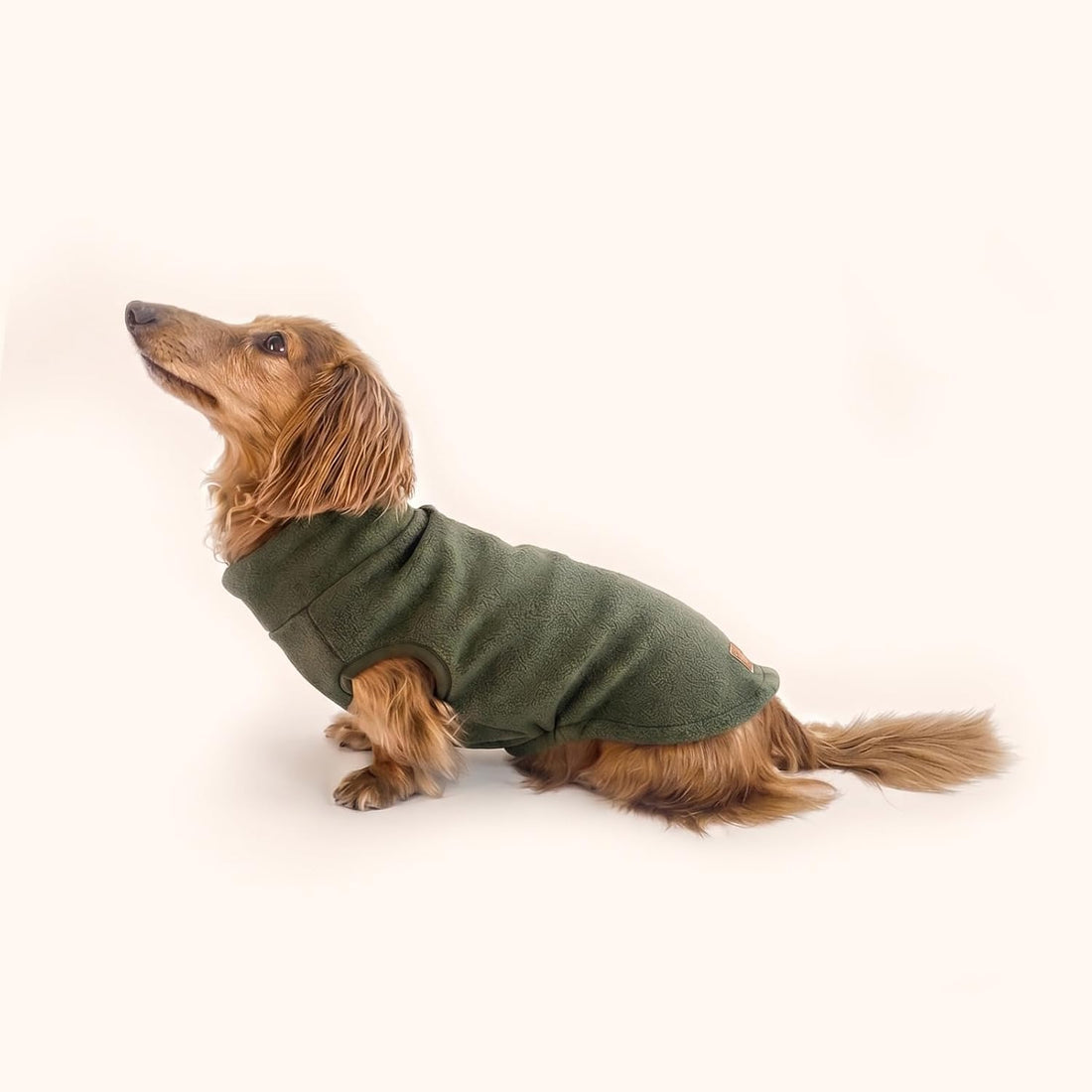Dachshund Fleece Coat, Long Dog Sweater Jacket - Green, M