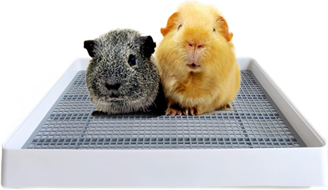 PODOO Rabbit Litter Box – Training Potty Tray for Guinea Pig & Small