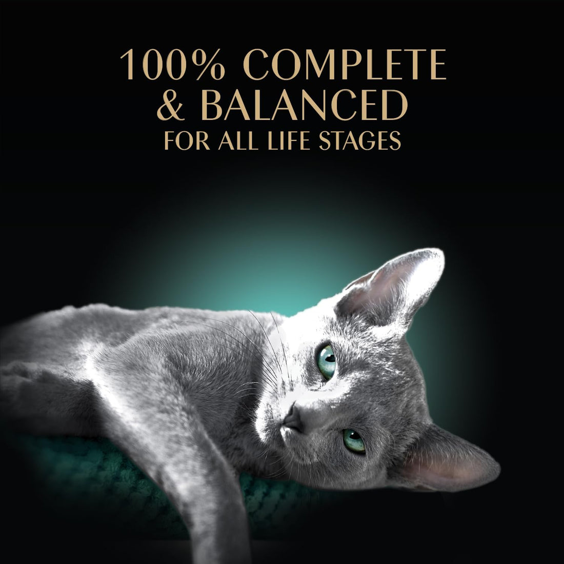 Sheba Perfect Portions Wet Cat Food Pate with Sustainable Salmon
