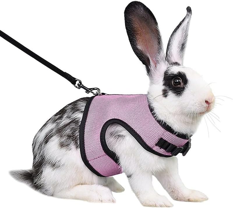 Bunny Harness and Leash Escape Proof Soft Mesh Rabbit Leash