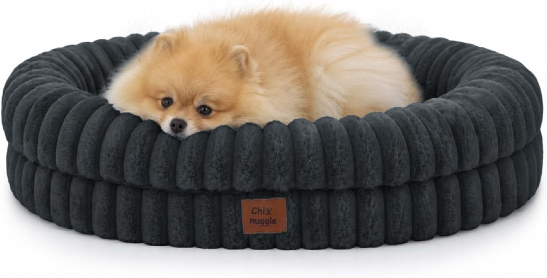 ChiXnuggle Orthopedic Dog Bed for Medium Dogs