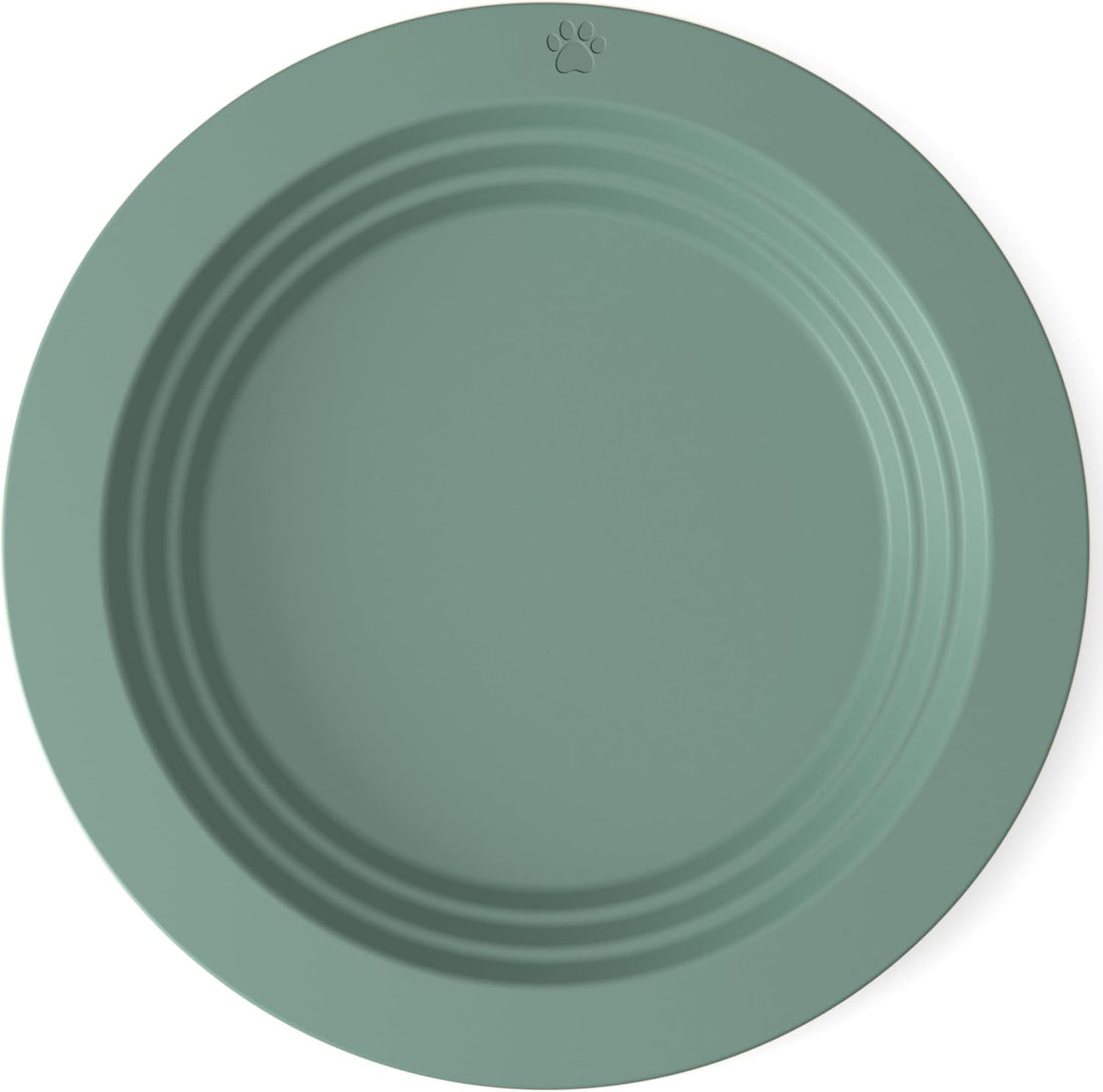 EcoLeo Whisker Friendly Cat Food Dish, Platinum Silicone