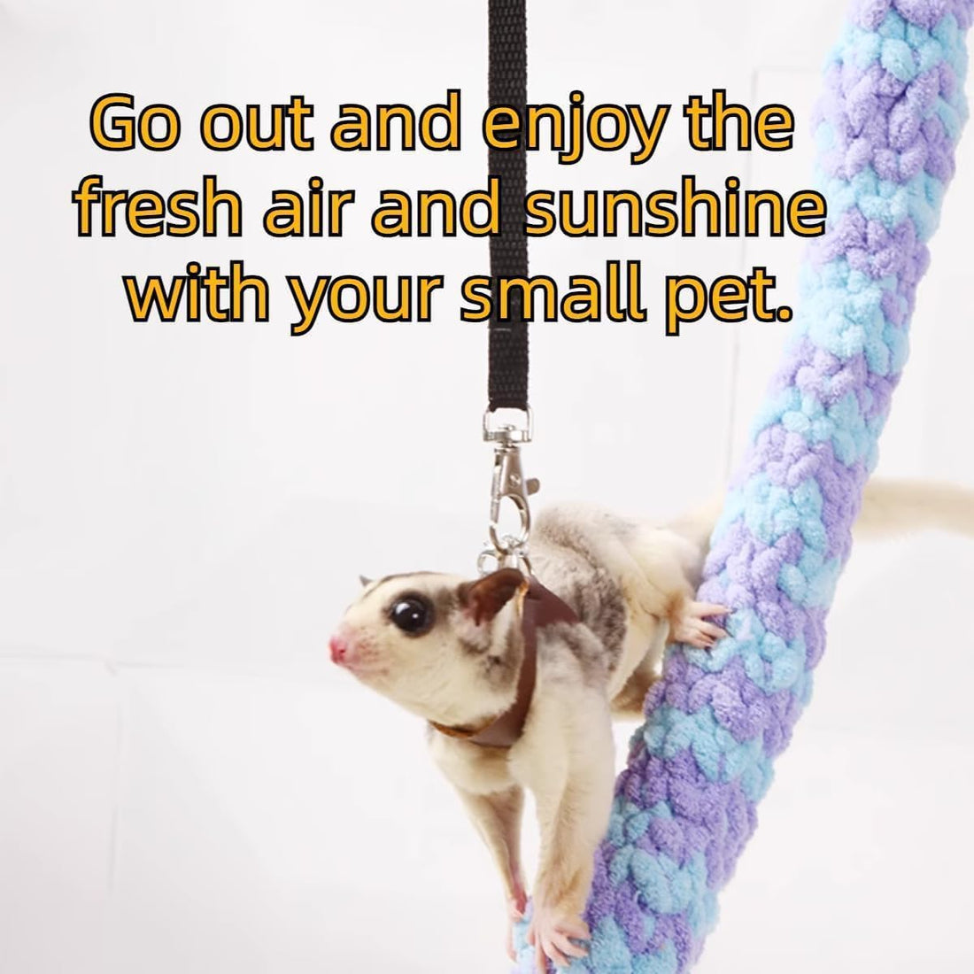 MANON ROSA Sugar Glider Harness and Leash Set, Adjustable 3 Pcs Vest