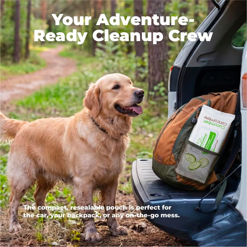 Best Pet Supplies 8" x 9" Large Dog Wipes
