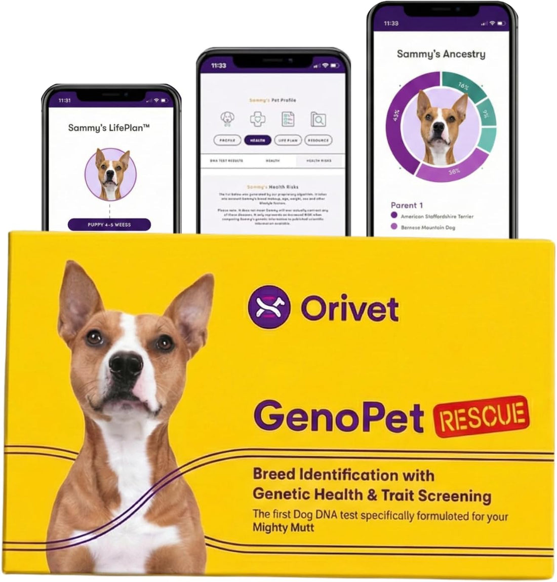 ORIVET GenoPet Dog DNA Test, 365+ Breeds, Health, Ancestry