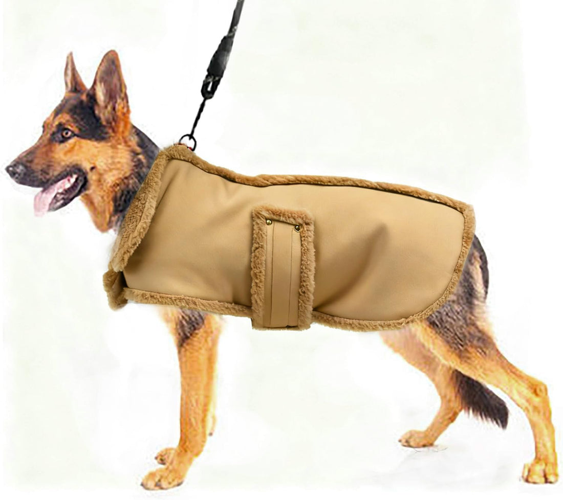 Dog Winter Jacket, Warm Windproof Dog Sweaters for Small Dogs