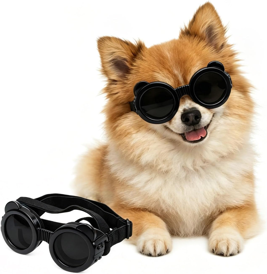Enjoying Clear Dog Goggles Medium to Large Breed
