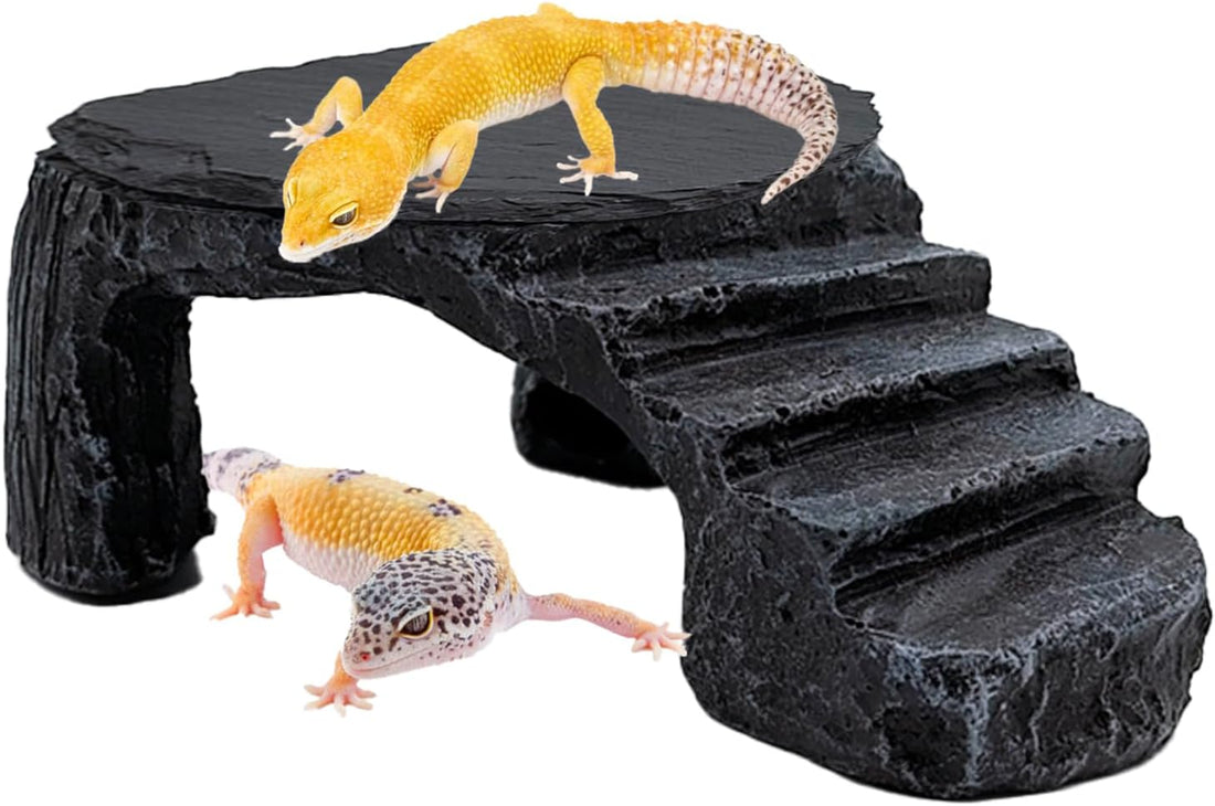 Reptile Basking Platform Gecko Hide Juvenile Beared Dragon Tank