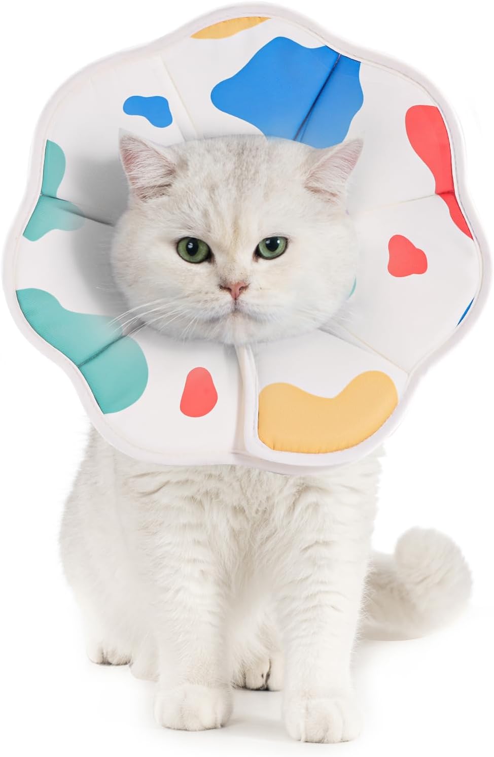 Avont Cat Cone M Adjustable Soft E-Collar