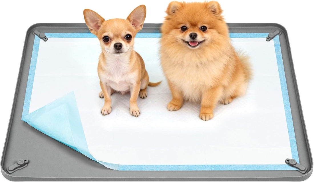 Pee Pad Holder for Dogs,25 x 36 Inch Dog Potty Tray with Silicone