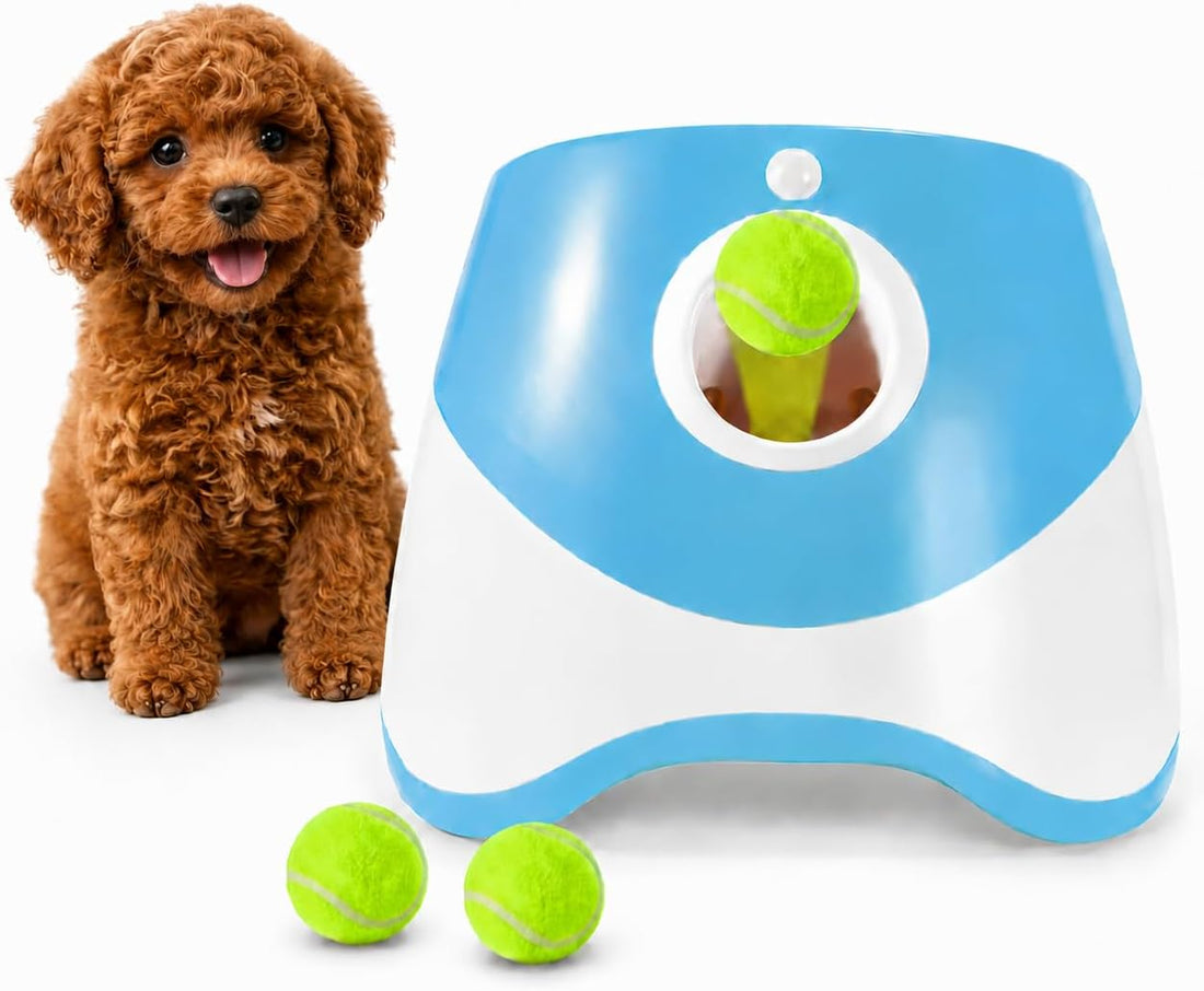Automatic Dog Ball Launcher with 3 Adjustable shoot distance