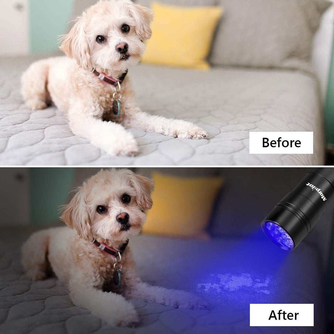 morpilot Mini UV Blacklight Flashlight, 395nm 9 LED Pet Urine Detector