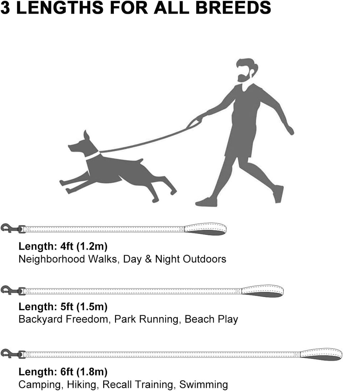 Taglory Reflective Dog Leash for Small Dogs, 3/4in x 4ft