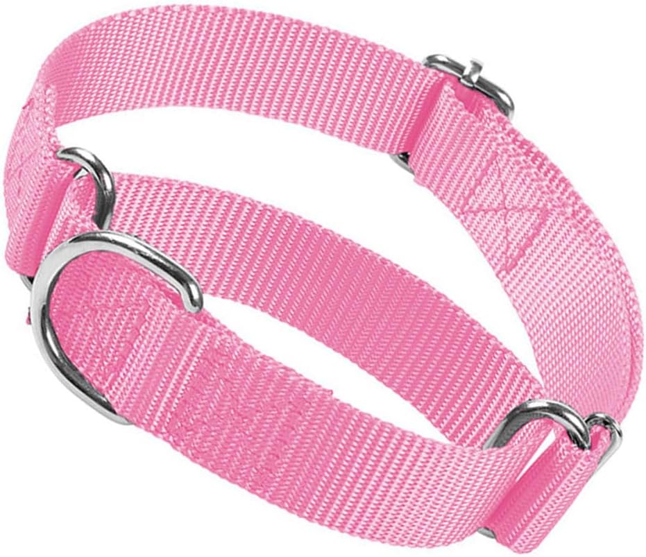 Martingale Dog Collars for Medium Dogs, No Pull Dog Choker Collar