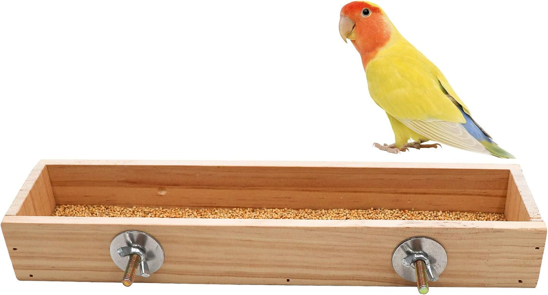 Bird Feeding Cups, Natural Wooden Parrot Perch Stand, Birds Food Dish