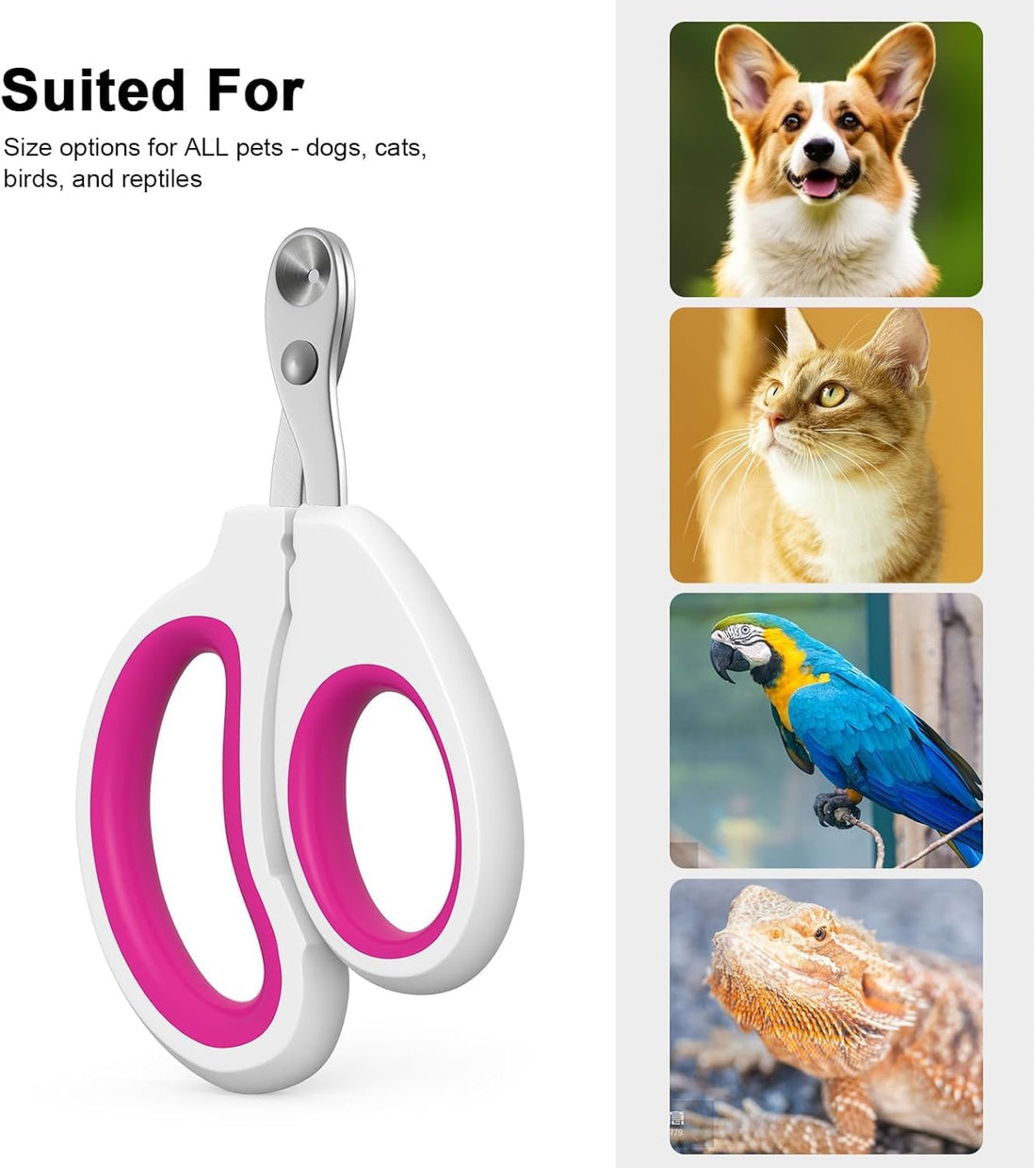 Cat Nail Clippers, Cat Claw Trimmers, Suitable for Small Animals