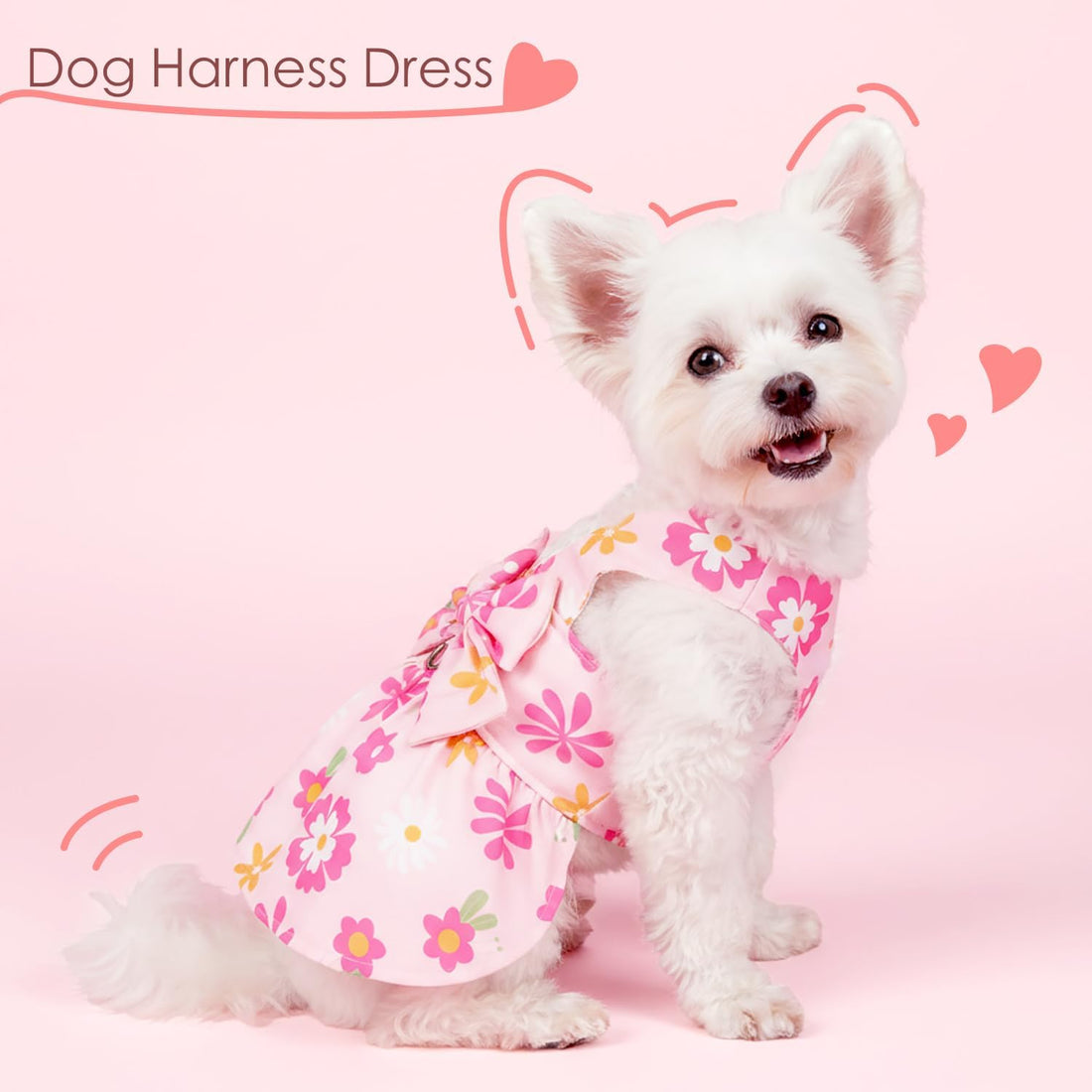 Dog Dress Harness Dresses Leash Set for Small Dogs Cute Girl Dog