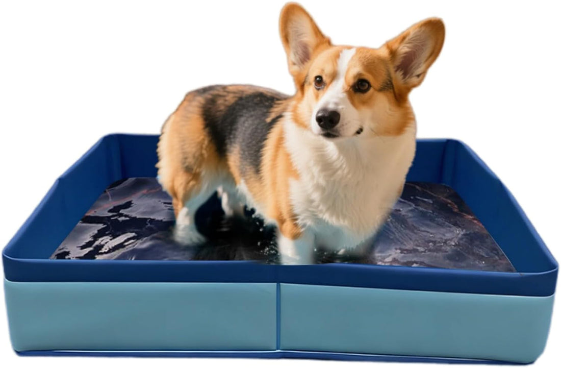Collapsible Reptile Bathtub Pool Foldable Pet Pool
