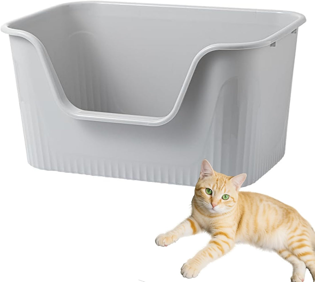 SpaceTime Large Cat Litter Box with High Sides,Cat Boxes for Indoor
