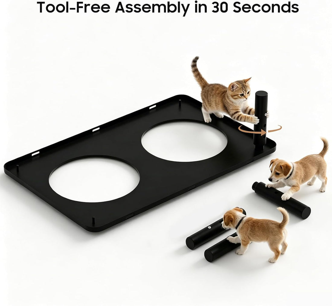 Adjustable Elevated Cat Bowls,6°/12° Tilted Cat Bowl Stand