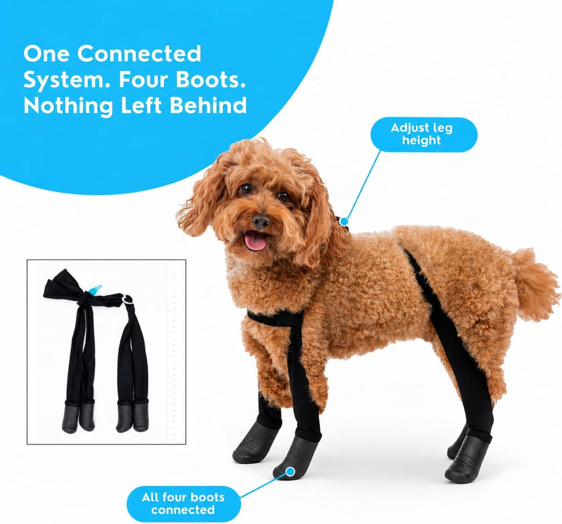 Walkee Paws Dog Snow Boots for Winter, Booties & Leggings