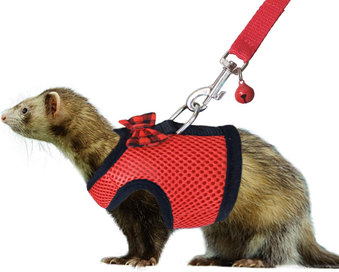 2pcs Animal Harness and Leash