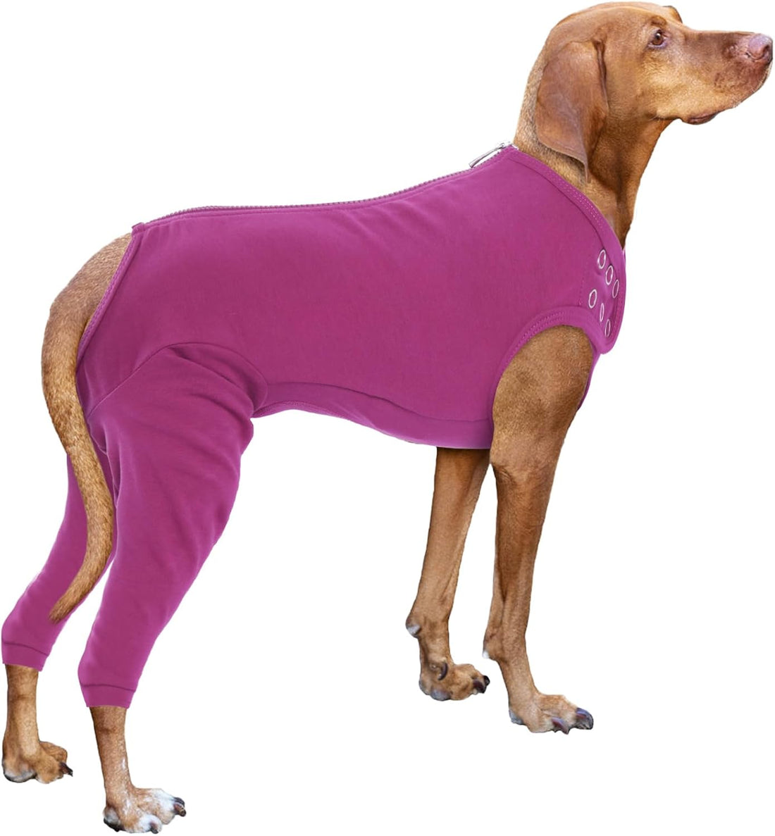 Nanaki Dog Wound Care Shirt,Dog Leg Sleeve to Stop Licking Rear