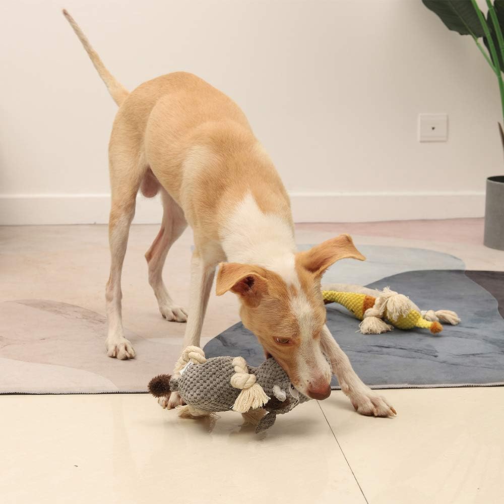 Sedioso Dog Toy, Large Dog Squeaky Toys