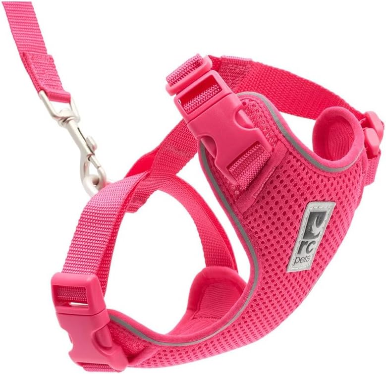 RC Pets Adventure Kitty Harness, 6ft Leash
