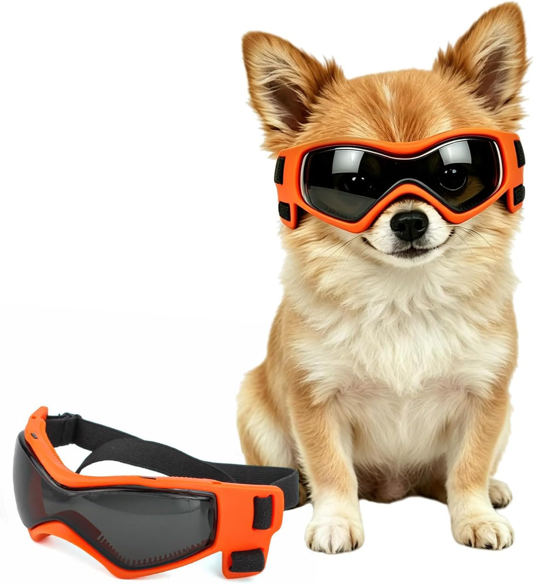 Enjoying Clear Dog Goggles Medium to Large Breed