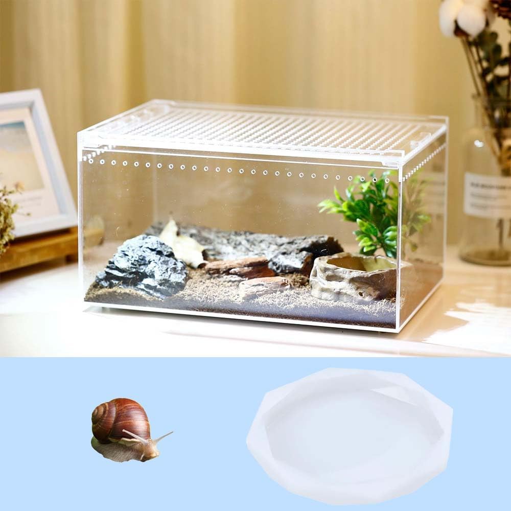 Snail Food and Water Bowl, Pet Snail Feeder