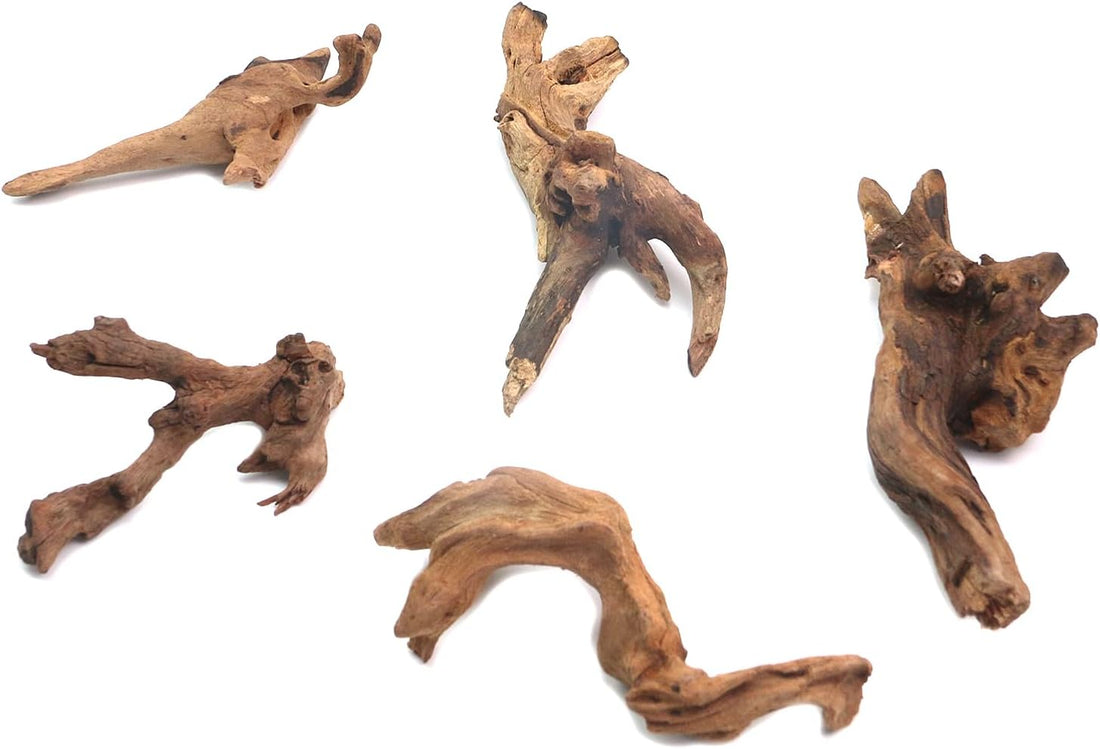 5Pcs Real Natural Driftwood Length 3.93" to 5.9"