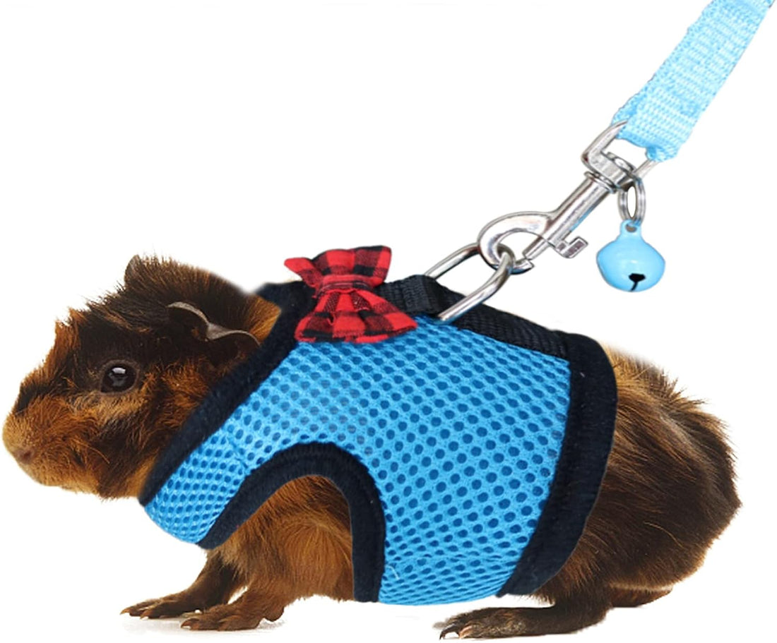 Rypet Guinea Pig Harness and Leash