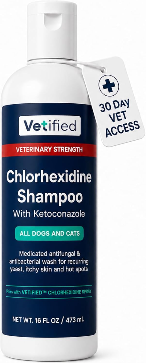 Chlorhexidine Shampoo 16 fl oz - NDC: 86247-002-16