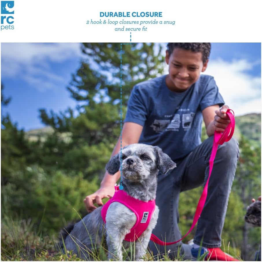 RC Pets Step in Cirque Harness M Mulberry