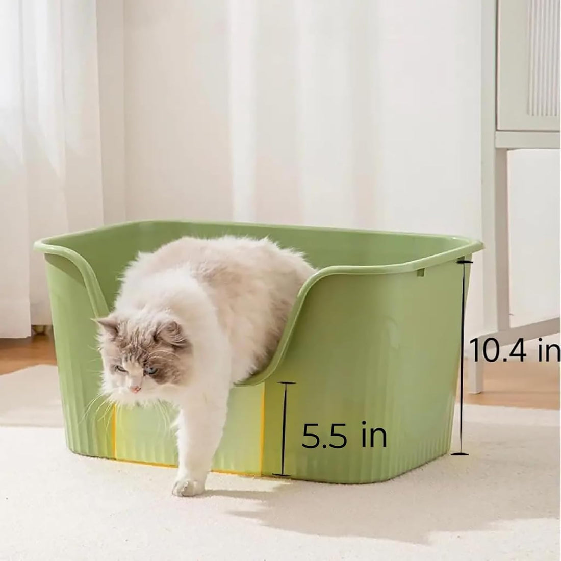 SpaceTime Large Cat Litter Box with High Sides,Cat Boxes for Indoor