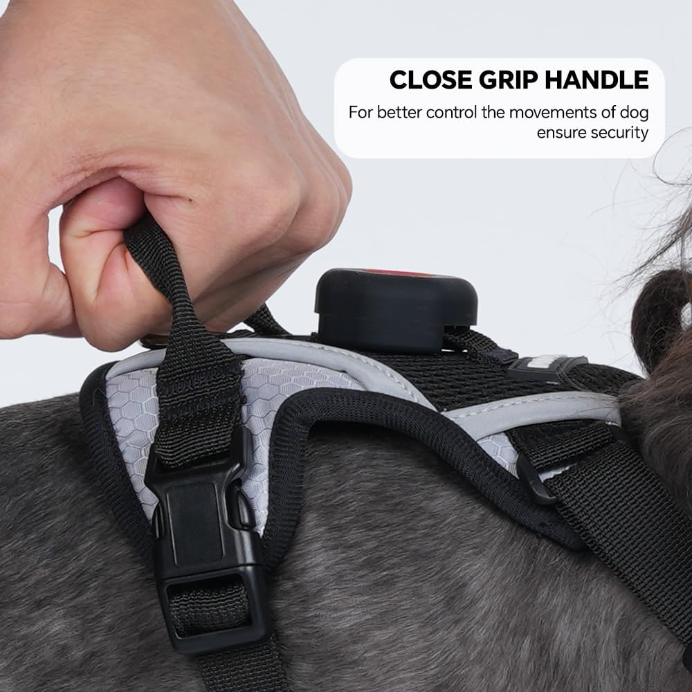 Cat Harness Leash Set with AirTag Holder
