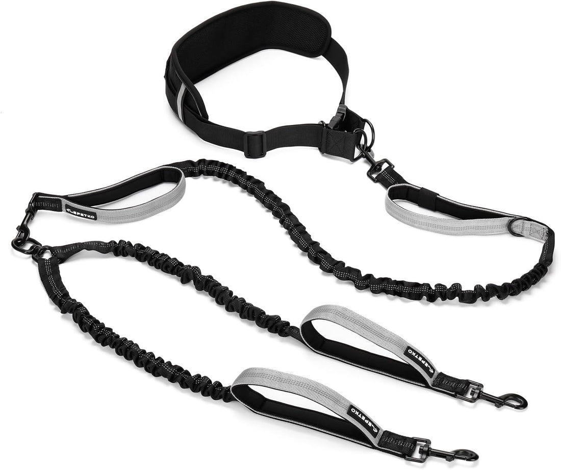 Hands Free Bungee Dog Leash for Medium to Large Dogs | Wider