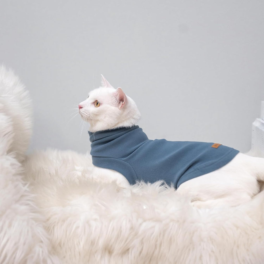 EXPAWLORER Soft Cat Sweater - Sweaters for Cats Only Warm Kitten
