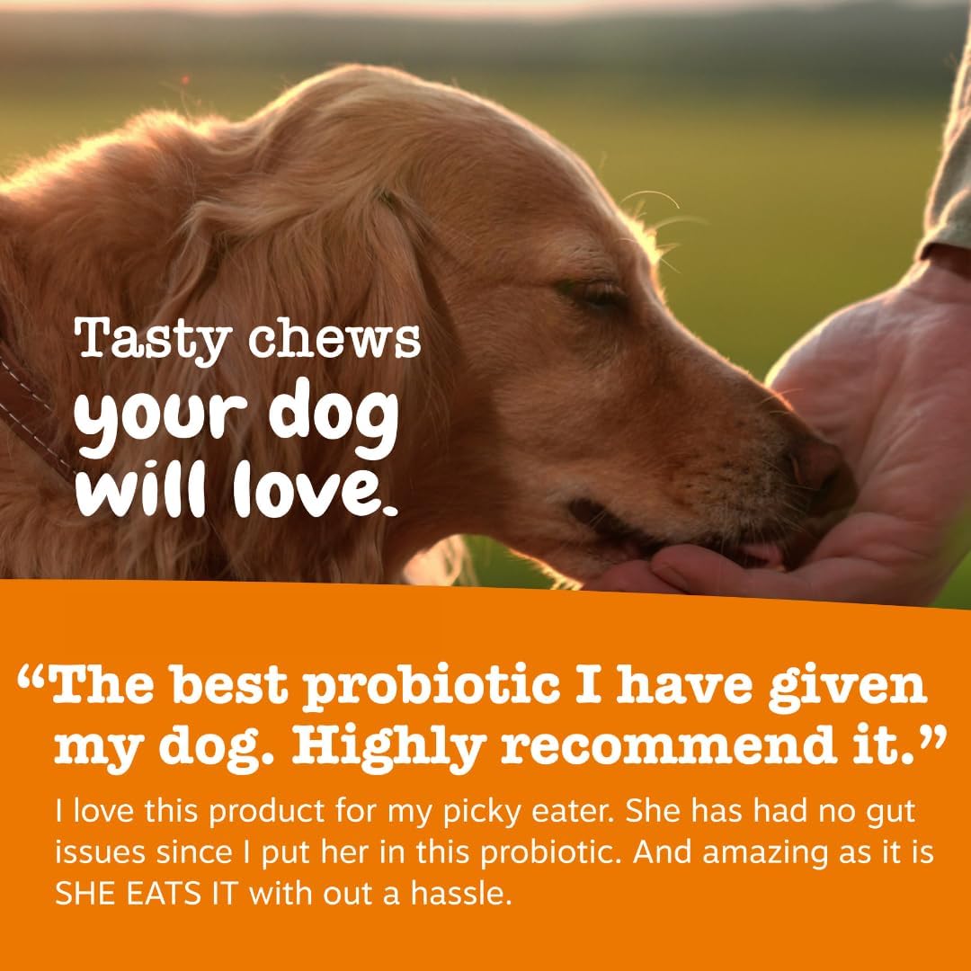 Zesty Paws Probiotics for Dogs - Digestive Enzymes for Gut Flora