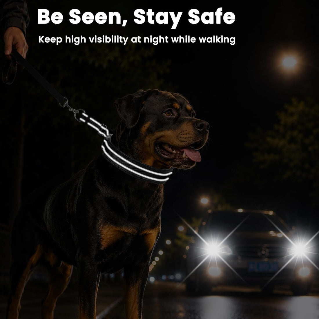 Mayerzon No Pull Collar with Alloy Buckle for Large Dogs that Pull