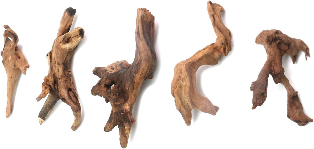 5Pcs Real Natural Driftwood Length 3.93" to 5.9"